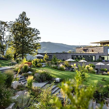 Luisenhoehe - Gesundheitsresort Schwarzwald Horben Ngoại thất bức ảnh